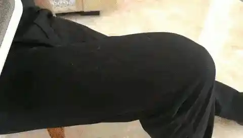 Pet Fur Remover Cleaning