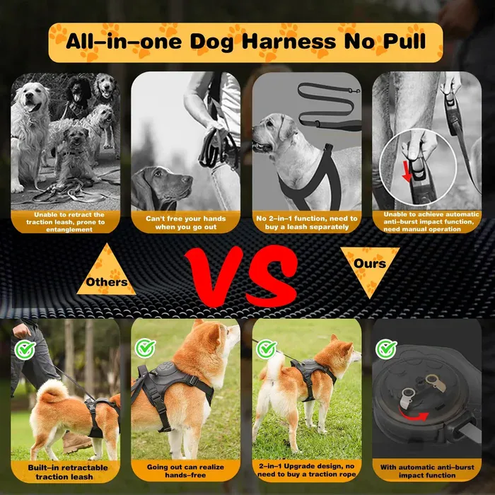 Innovative dog harness design