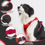 Dog Harness And Retractable Leash Set All-in-One