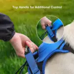 Dog Harness And Retractable Leash Set All-in-One - Image 4