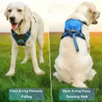 Dog Harness And Retractable Leash Set All-in-One - Image 8