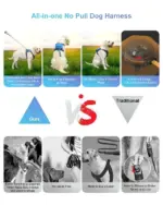 Dog Harness And Retractable Leash Set All-in-One - Image 9