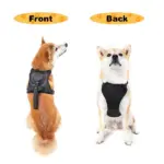 Dog Harness And Retractable Leash Set All-in-One - Image 6