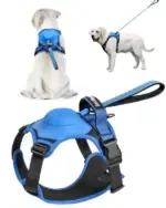Dog Harness And Retractable Leash Set All-in-One - Image 12
