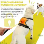 Dog Harness And Retractable Leash Set All-in-One - Image 5