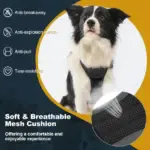 Dog Harness And Retractable Leash Set All-in-One - Image 3
