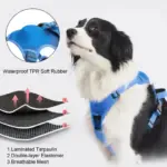 Dog Harness And Retractable Leash Set All-in-One - Image 7