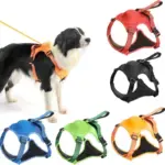 Dog Harness And Retractable Leash Set All-in-One - Image 16