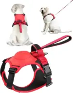 Dog Harness and Retractable Set All