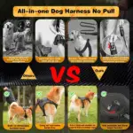 Dog Harness and Retractable Set All - Image 2