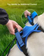 Dog Harness and Retractable Set All - Image 3