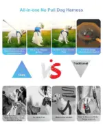Dog Harness and Retractable Set All - Image 7