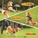 Dog Harness and Retractable Set All - Image 9