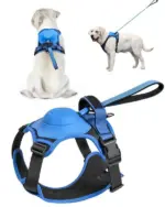 Dog Harness and Retractable Set All - Image 11