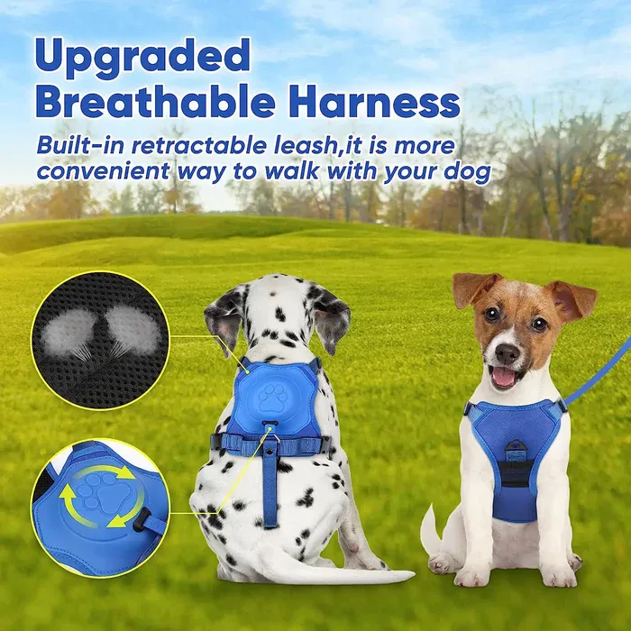 Adjustable Harness