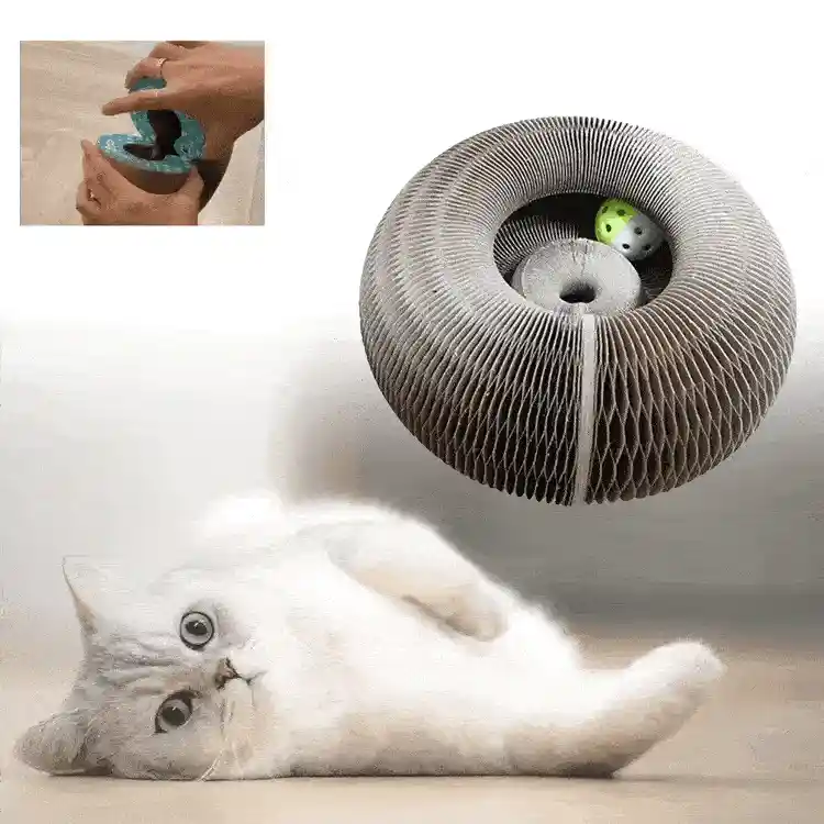 Cat sleeping on scratcher