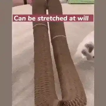 Cats of all sizes enjoying scratcher