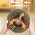 Magic Organ Cat Toy - Image 8