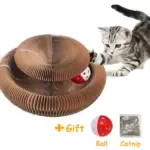 Magic Organ Cat Toy - Image 9