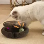 Magic Organ Cat Toy