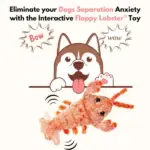 Floppy Lobster Interactive Dog Toys - Image 5