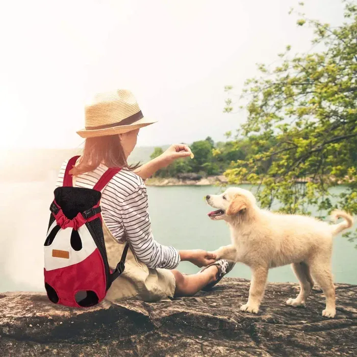Pet backpack design