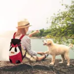 Pet Travel Leg-out Backpack - Image 2