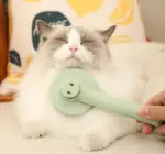 Pet Comb To Remove Floating Hair - Image 5