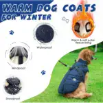 WATERPROOF DOG JACKET WITH HARNESS - Image 5