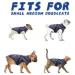 WATERPROOF DOG JACKET WITH HARNESS - Image 4
