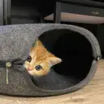 Cat Donut Tunnel Bed