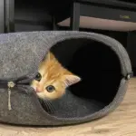 Peekaboo Cat Cave
