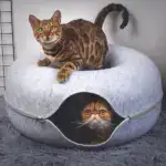 Cat Donut Tunnel Bed - Image 2
