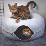 Peekaboo Cat Cave - Image 2