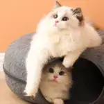 Cat Donut Tunnel Bed - Image 11
