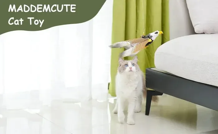Cat birthday toys