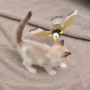 Toy in use