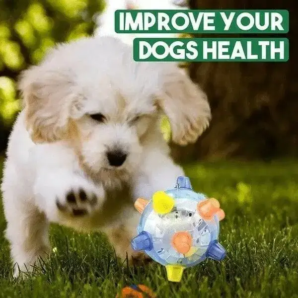 LED Jumping Ball for Dogs
