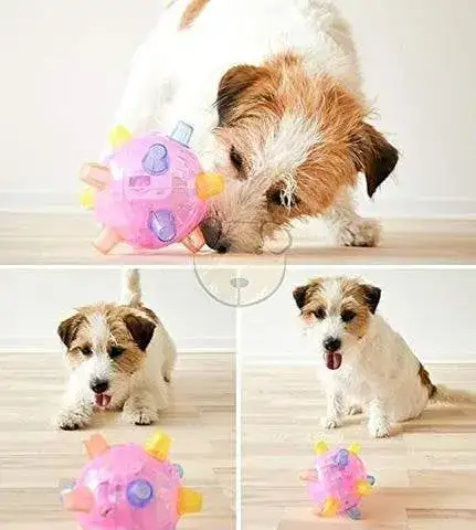 LED Ball with Pet
