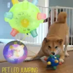 Jumping Activation Ball For Dogs And Cats - Image 4