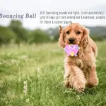 Jumping Activation Ball For Dogs And Cats - Image 11