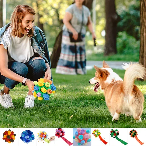 Dog playing with chew toy