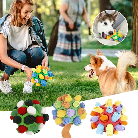Pet playing with toy
