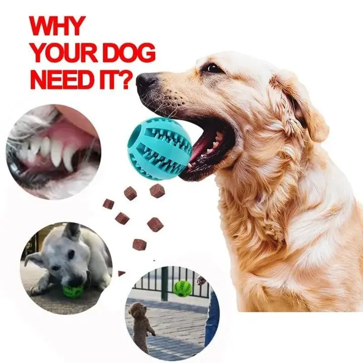 Interactive Dog Toy