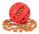Soft Pet Dog Toys - Image 3