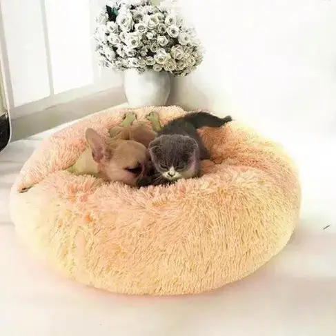 Pet Bed
