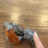 Squeaky cat toy