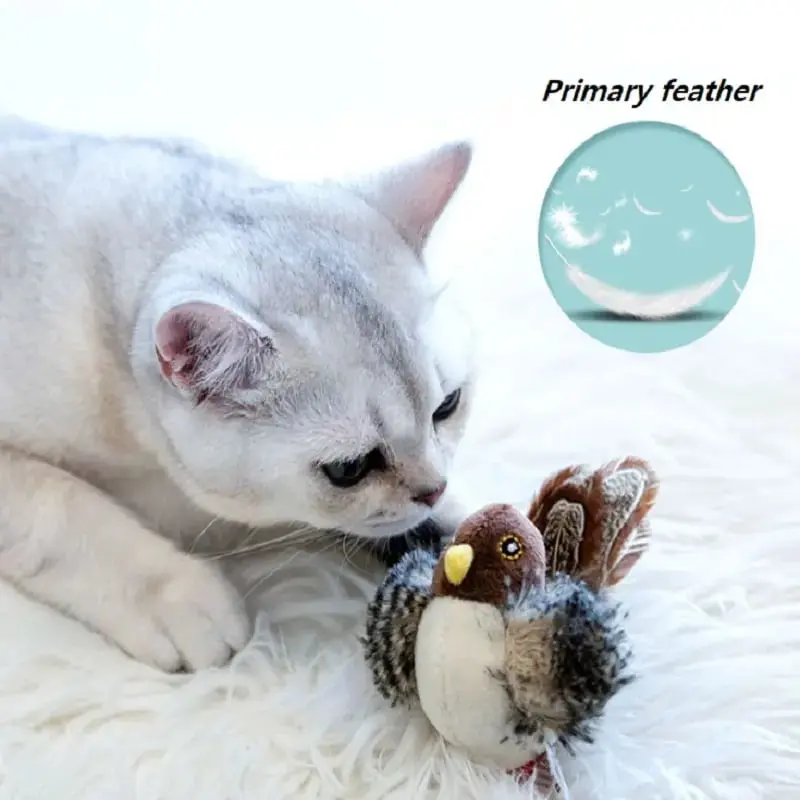 Versatile pet toy