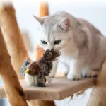 Interactive Chirping Bird Cat Toy - Image 2