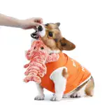 Floppy Lobster - Interactive Dog Toy - Image 4